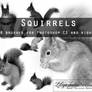 Squirrels PS brushes