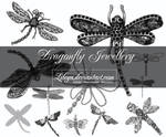 Dragonfly Jewellery by Lileya