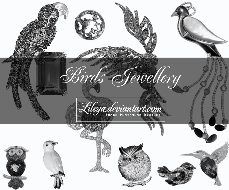 Birds Jewellery