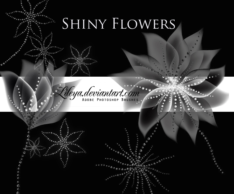 Shiny flowers