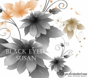 Black-eyed Susan flower