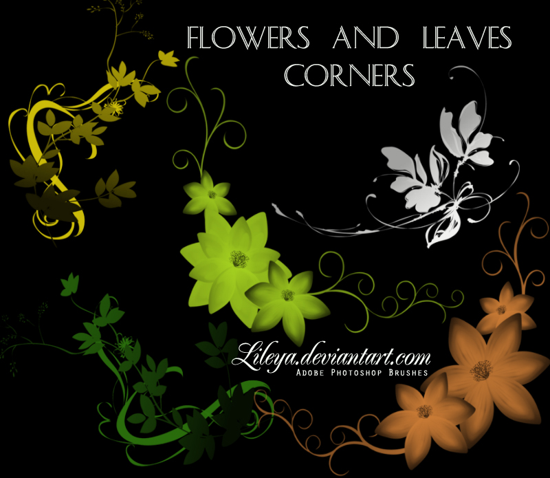 Flowers and Leaves Corners