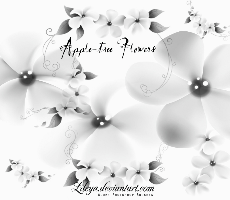 Apple-tree Flowers