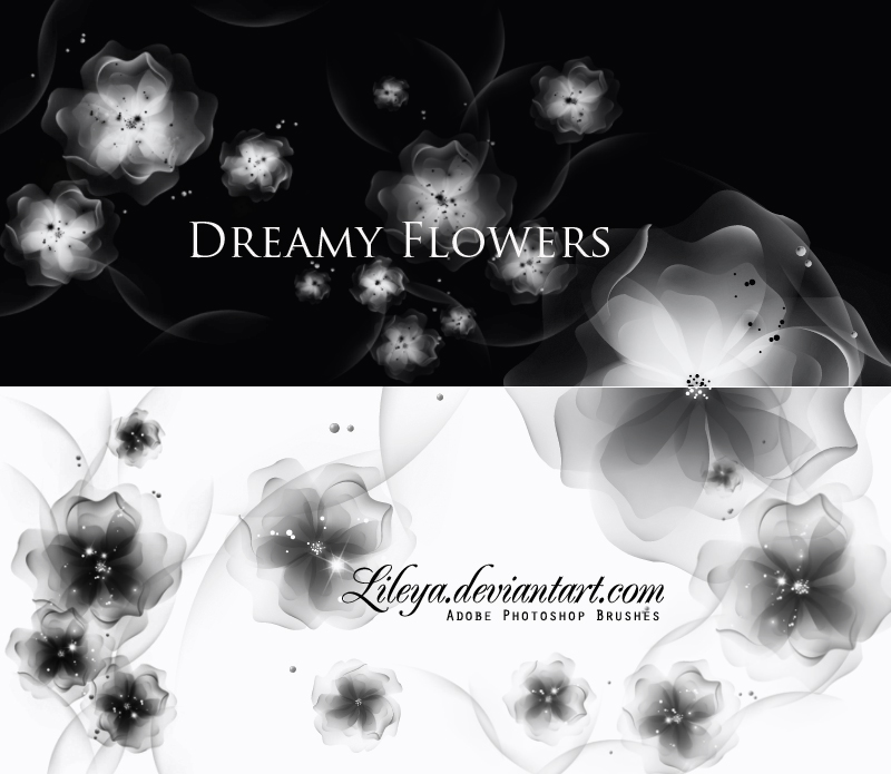 Dreamy Flowers