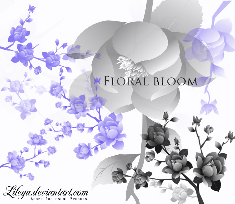 Floral Bloom