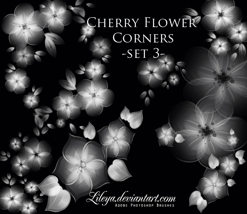 Cherry Flower corners