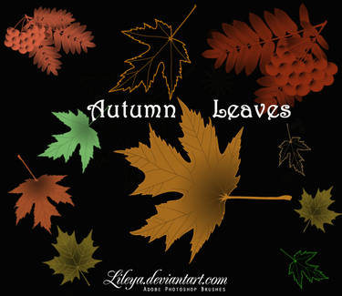 Autumn Leaves