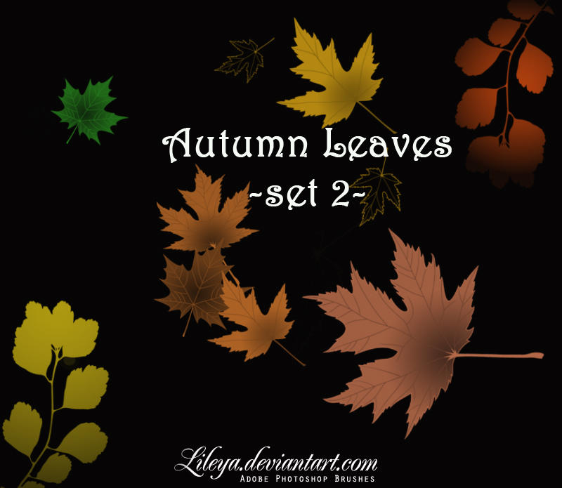 Autumn Leaves set 2 by Lileya on DeviantArt