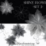 Shiny Flowers set 3