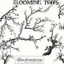 Blooming Trees