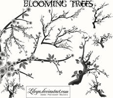 Blooming Trees