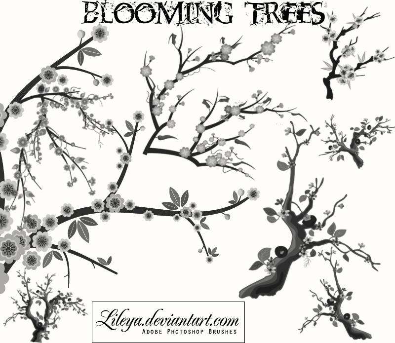 Blooming Trees by Lileya on DeviantArt
