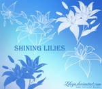 Shining Lilies