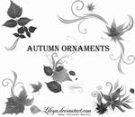Autumn Ornaments