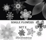 Single Flowers -set 2-