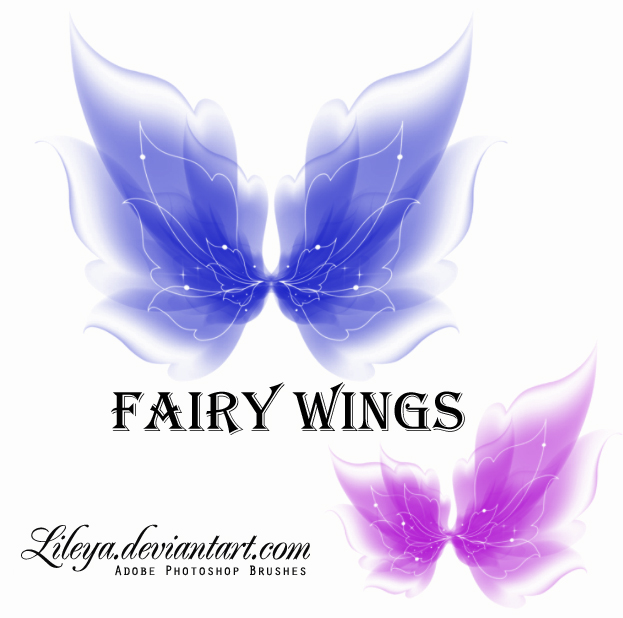 Fairy Wings