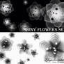 Shiny Flowers - set 7