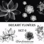 Dreamy Flowers set 6