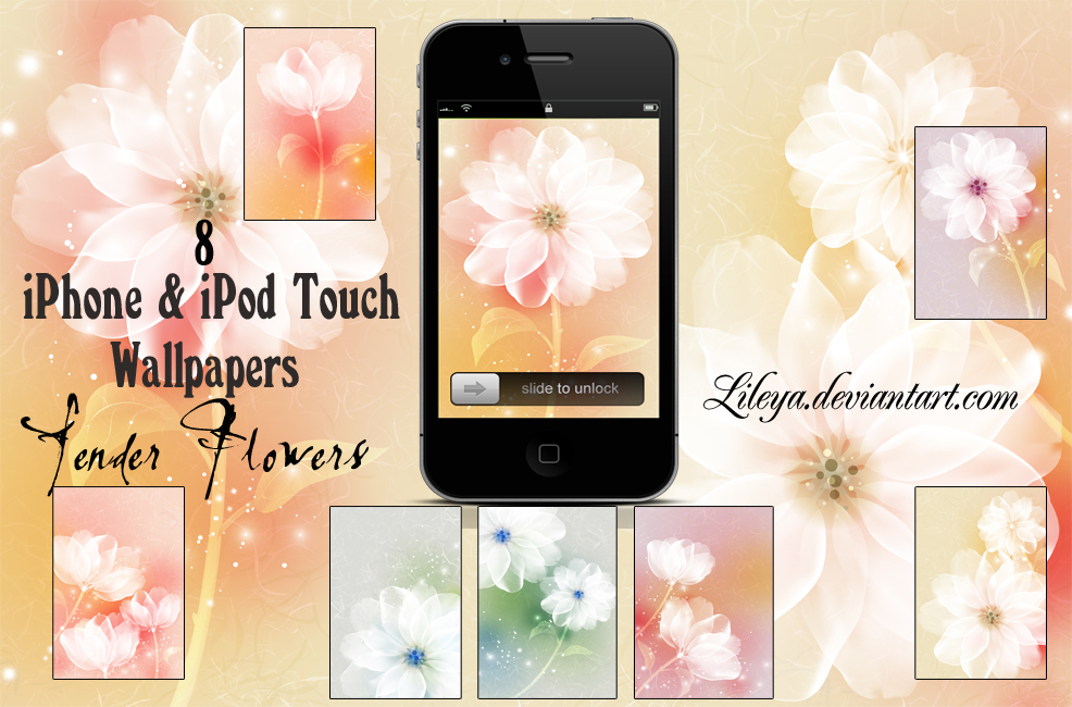 Tender Flowers Wallpapers