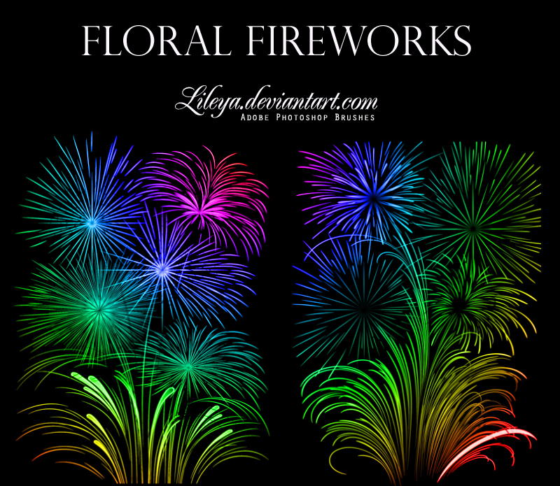 Floral Fireworks by Lileya