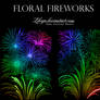 Floral Fireworks