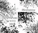 Corners with Birds