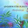 Underwater Plants