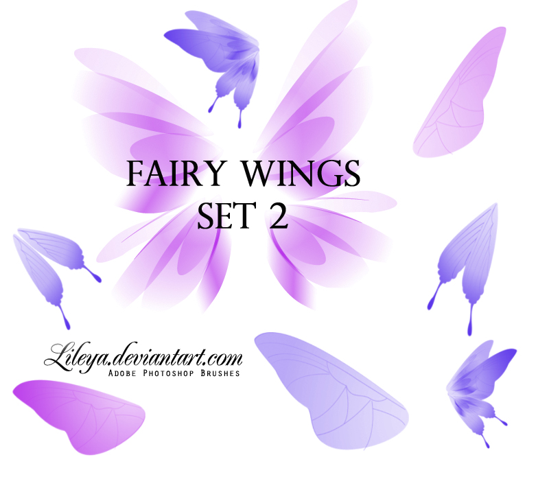 Fairy Wings set 2