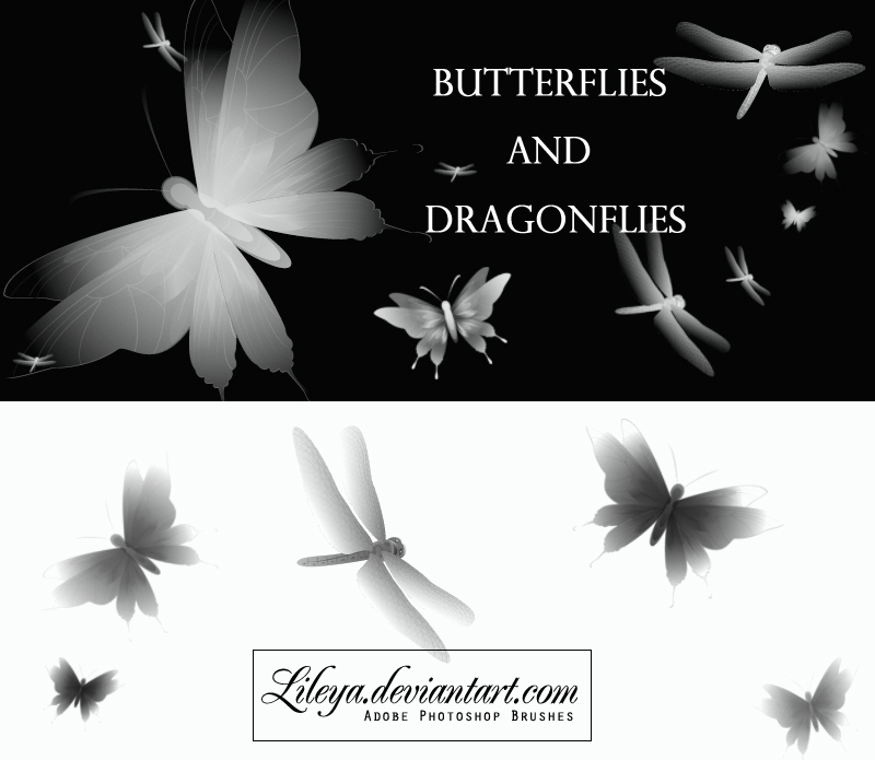 Butterflies and Dragonflies