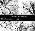Corners with Birds - set 2