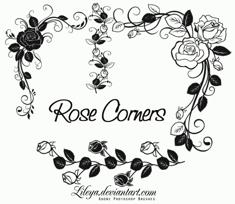 Rose Corners