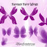 Fantasy Fairy Wings set 3
