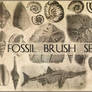 Fossil brush set