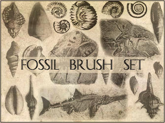 Fossil brush set