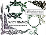 Fancy Frames