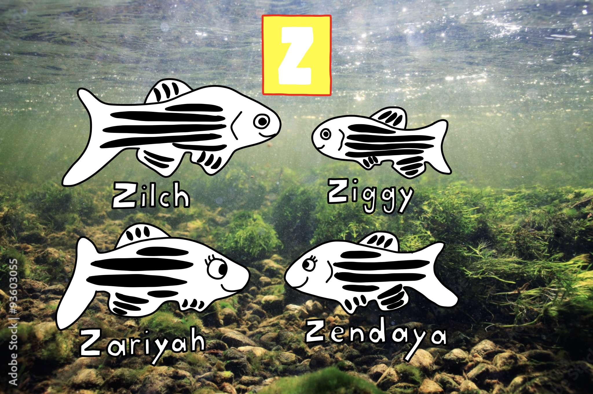 Zebra Fish Family by ThomasCarr0806 on DeviantArt