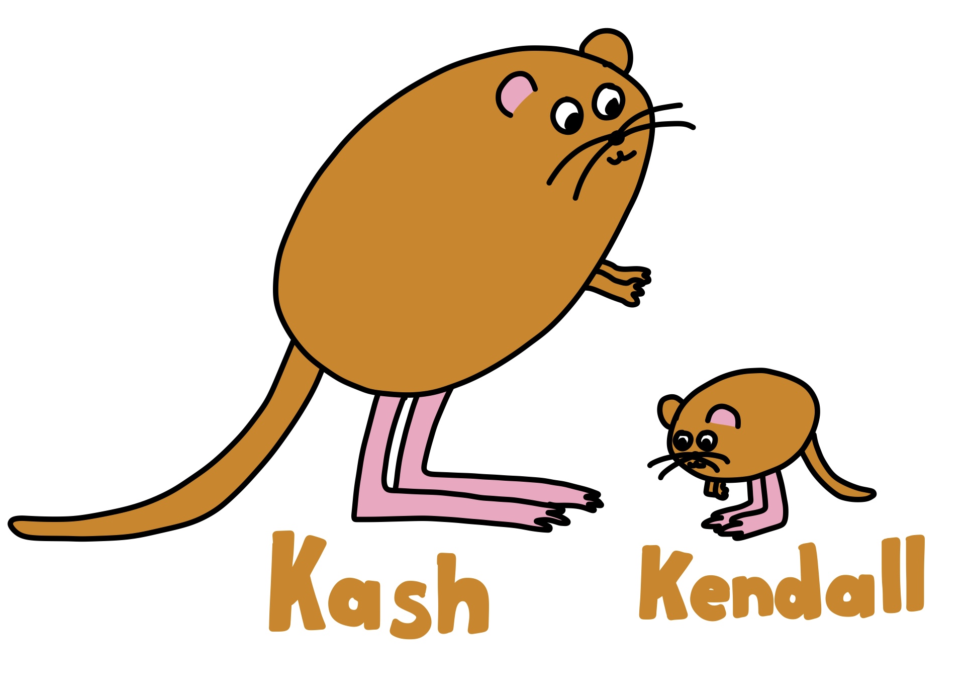 Kash and Kendall Kangaroo Rat by ThomasCarr0806 on DeviantArt