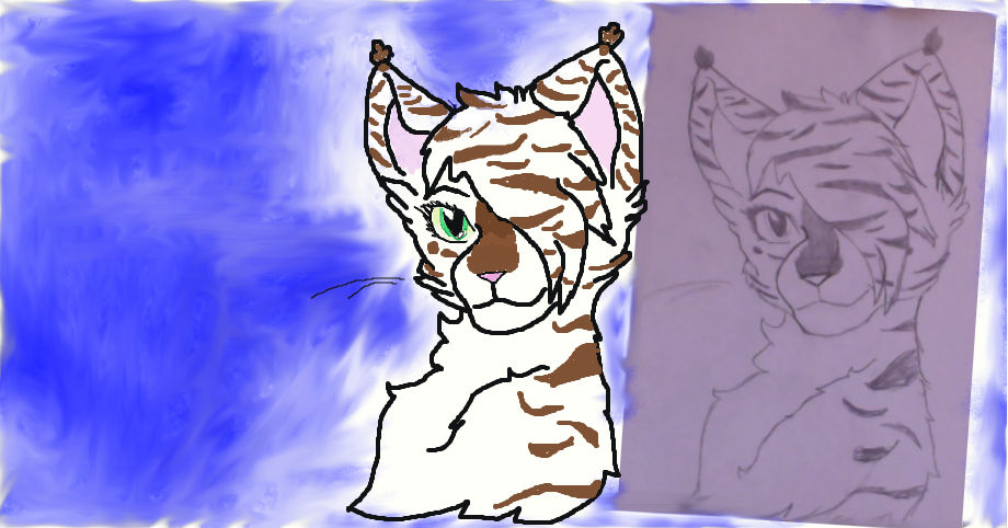 Xx Shiningheart Xx Hobbyist Artist Deviantart