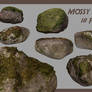 Mossy Rocks Pack