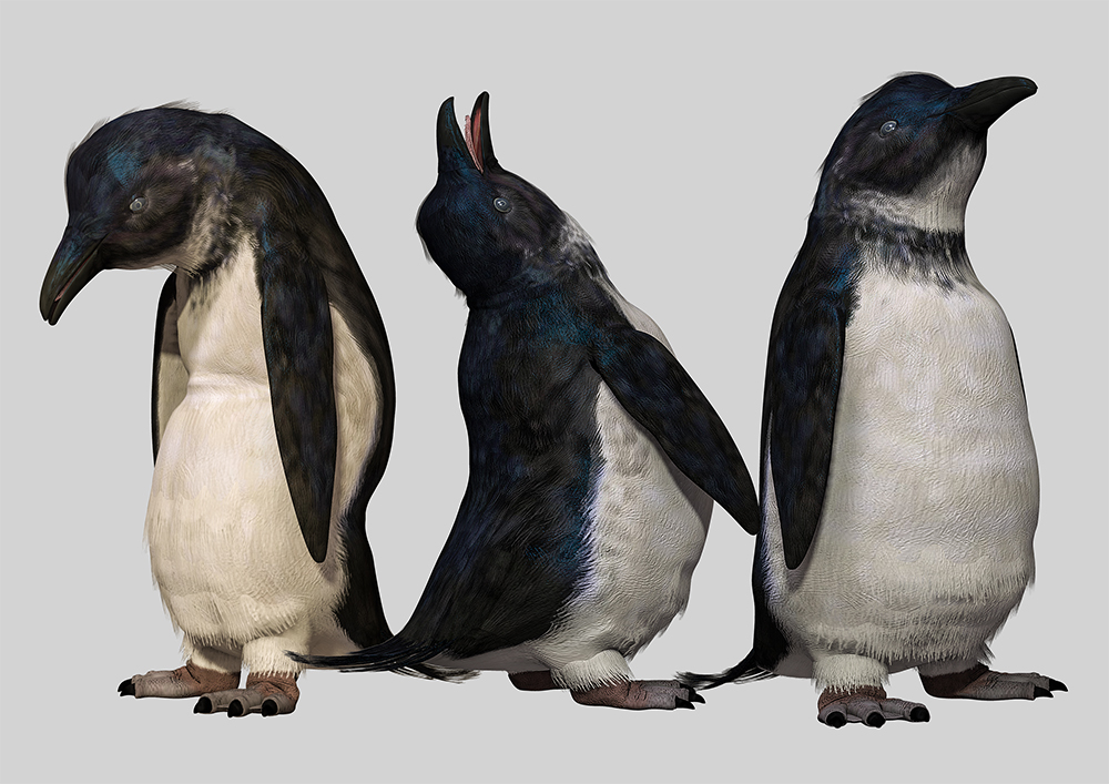 Penguin