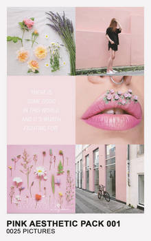 Pink Aesthetic Pack 001 by Mermaid Awkward