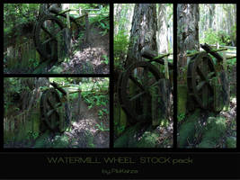 Watermill Wheel Pack