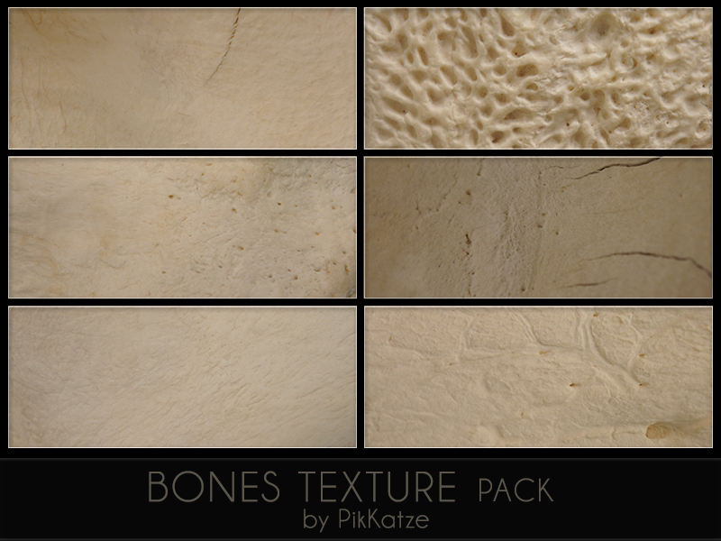 bone texture zbrush