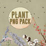 PLANT PNG PACK