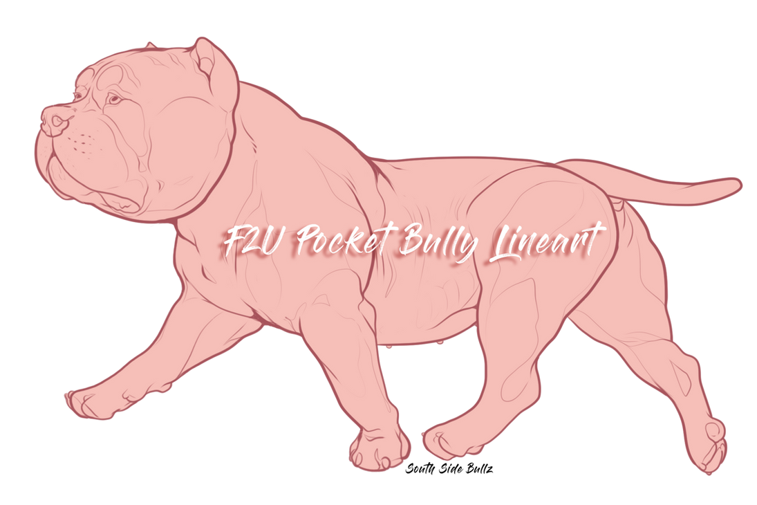 Pocket Bully Lineart by SOUTHSIDEESTATES on DeviantArt