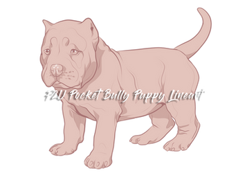 explore the best americanbully art