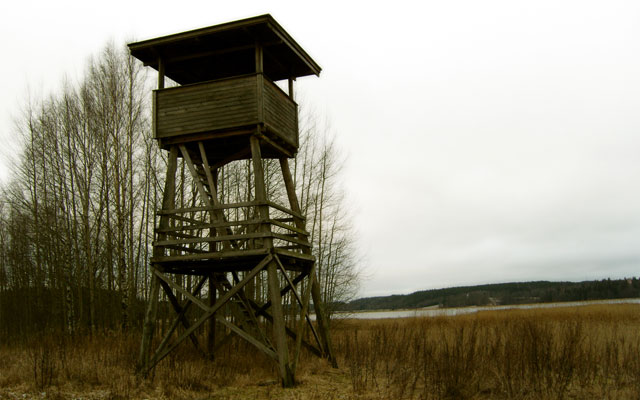 Watch Tower