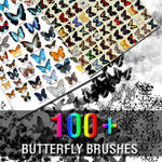 100+ Butterfly Brushes by Z4m0lx3