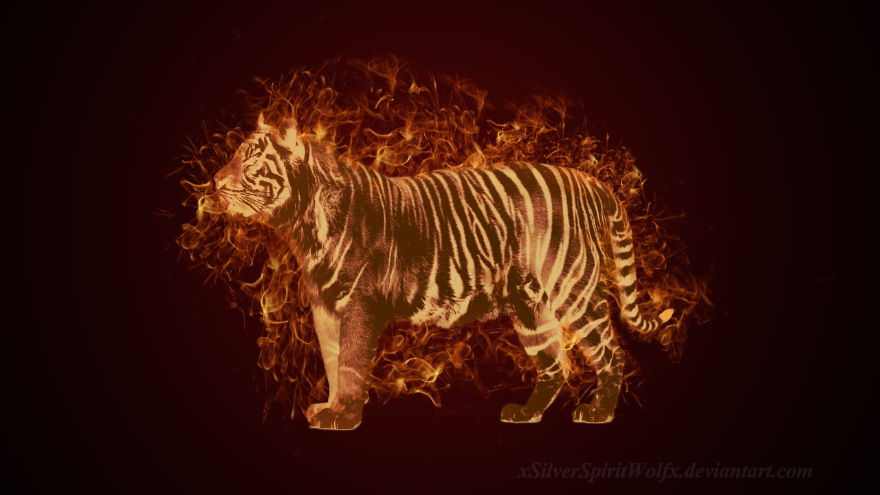 Flaming tiger {FREE Wallpaper}