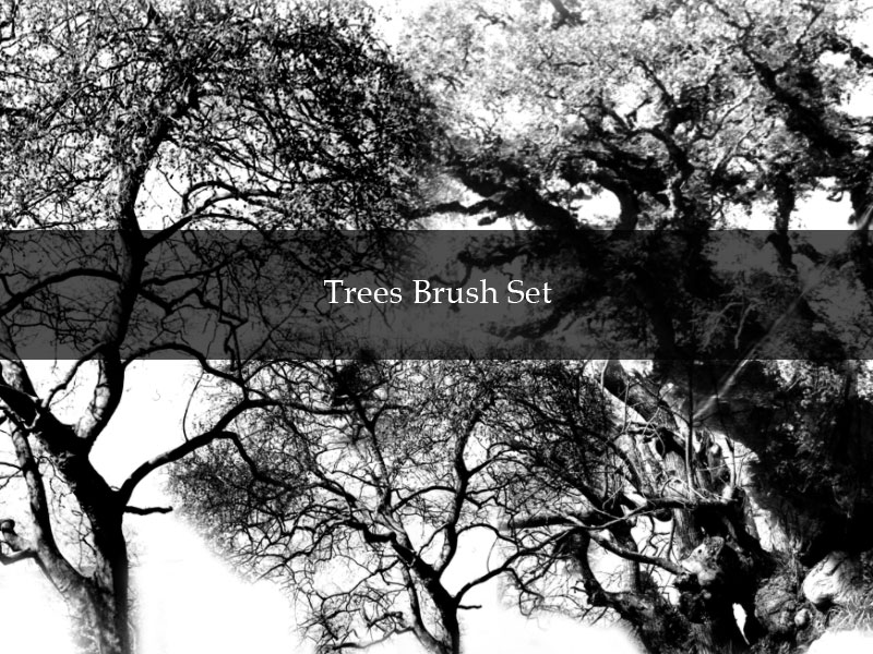 Tree brushes